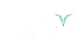 EvoNova Advisors